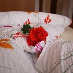 شقة Alpinea لاندك