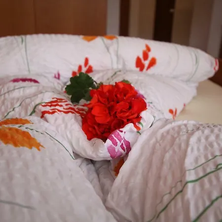 Apartament Alpinea Landeck