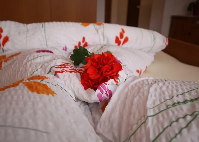 Διαμέρισμα Alpinea Landeck