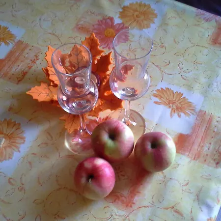 Apartmán Alpinea Landeck